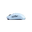 imagen4.webp