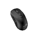 22.webp